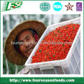 2015 Top sale iqf organic goji berry